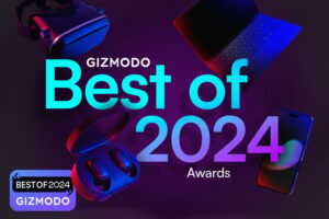 Gizmodo’s Best of 2024 Awards : see all the winners