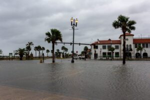 ‘Flesh-Eating’ Bacteria Surge in Florida Floodwaters After Back-to-Back Hurricanes