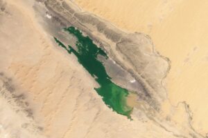 A Lake Materializes in the Sahara Desert, Offering a Glimpse Into Africa’s Past