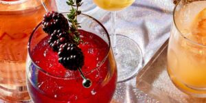 Lemon-Blackberry Sparkling Lambrusco and Gin Recipe