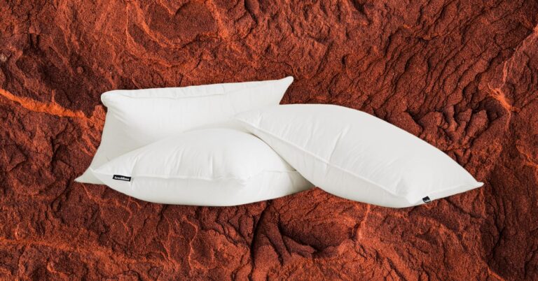 The 5 Best Down Pillows We Found After Months of Nighttime Testing (2024)