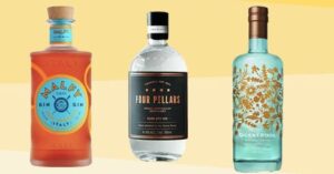 16 best gins to buy as gifts 2024