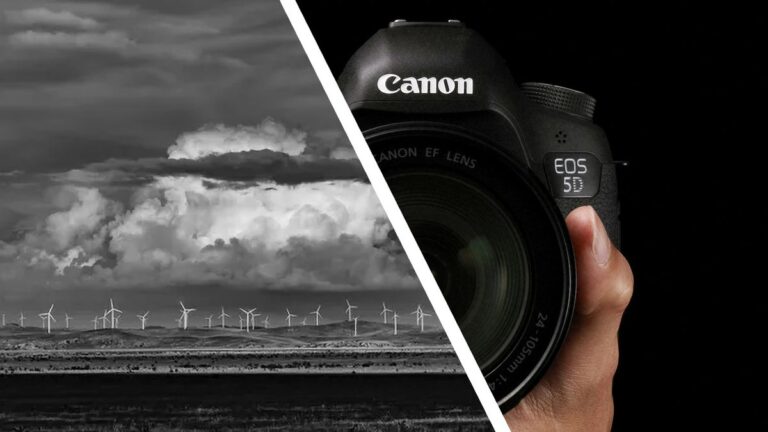 You don’t really need a new camera – a $200,000 photo prize was just won with this old Canon DSLR