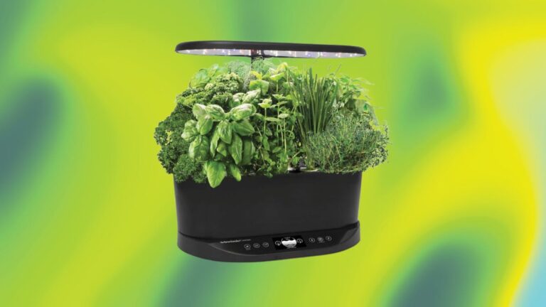 Grow Fresh Veggies and Herbs on Your Kitchen Counter With This Hydroponic Garden, Now 50% Off