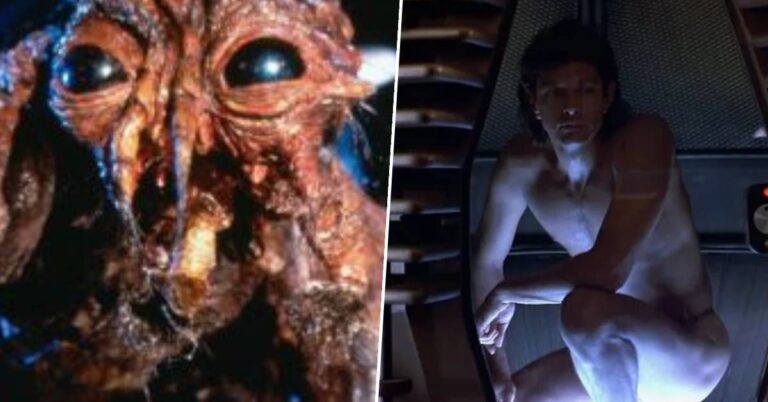 38 years after the original, David Cronenberg’s body horror classic The Fly is getting a surprise follow-up, and it’s not a remake