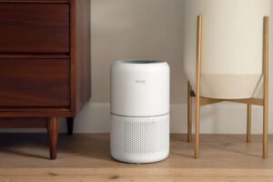 With 50,000 Sold Since Black Friday Week, This LEVOIT Air Purifier Is The Absolute Best-Seller on Amazon