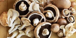 10 Types Of Mushrooms And Their Uses