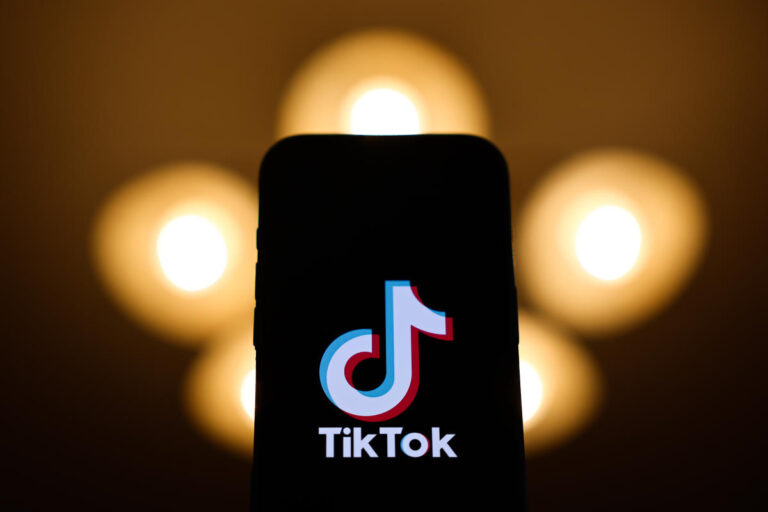 TikTok asks the Supreme Court to delay upcoming ban