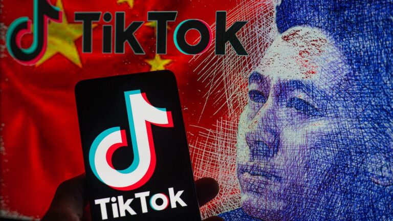 TikTok will have its day in court, but it’s time to ask what we’ll do without it