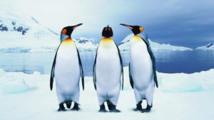 The 3 most Windows-like Linux distros to try because change is hard