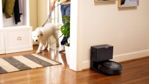 Best Vacuums for Pet Hair for 2024