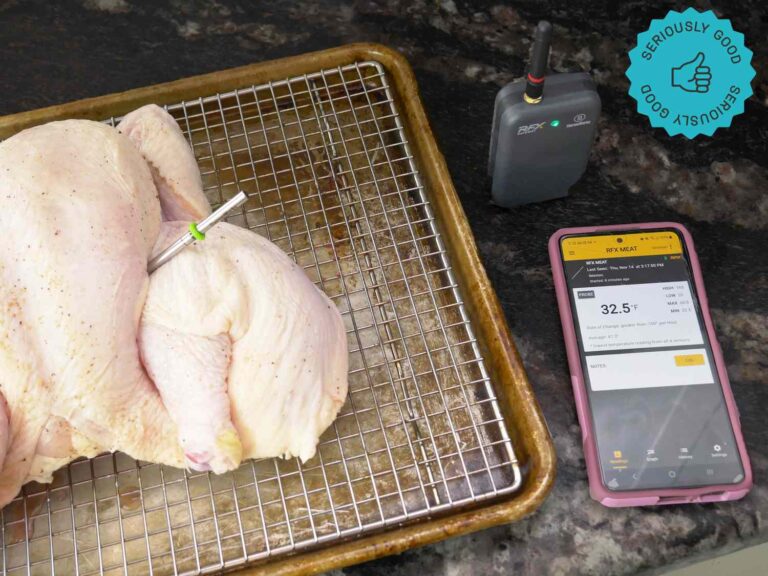 ThermoWorks RFX Meat Probe Review