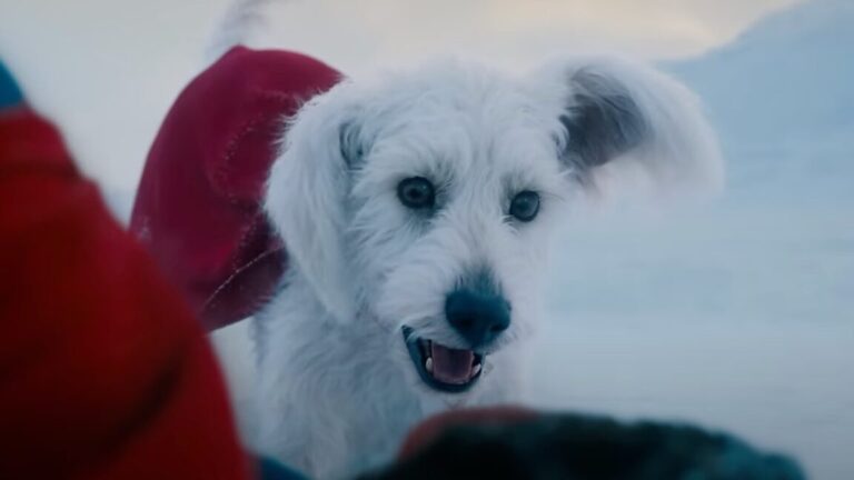 Krypto steals the show in Superman teaser