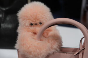 This fluffball robot stole my heart at CES 2025