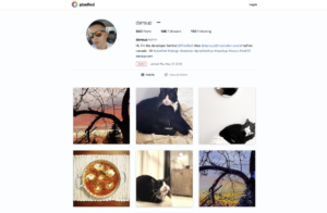 Meta admits it deleted links to decentralized Instagram competitor Pixelfed