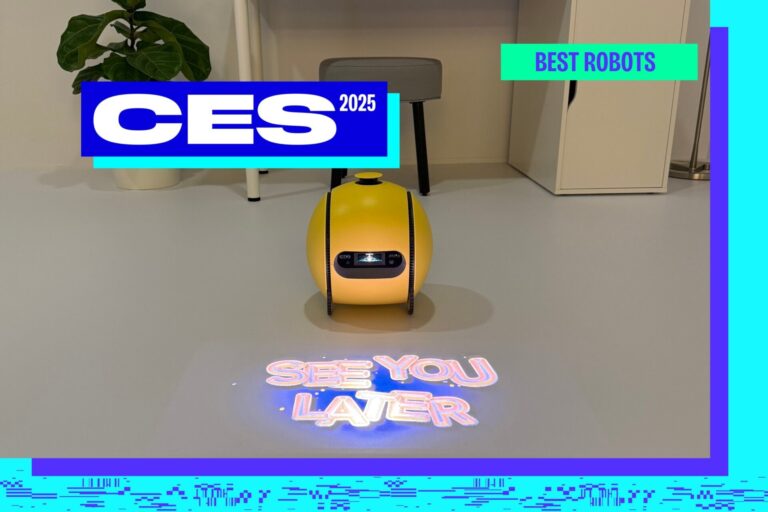 The Best Robots of CES 2025