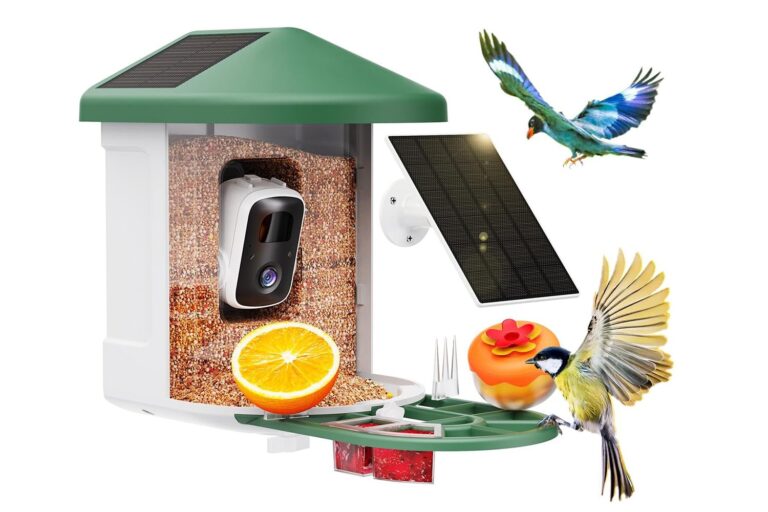 Birdwatching Meets Technology With This AI Bird Feeder Camera at 53% Off for a Smarter New Year