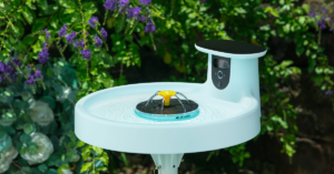 Birdfy’s Bath Pro is a bird bath take on the smart camera bird feeder