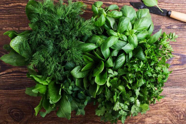 These Herb Keepers Keep Cilantro, Basil and More Fresh