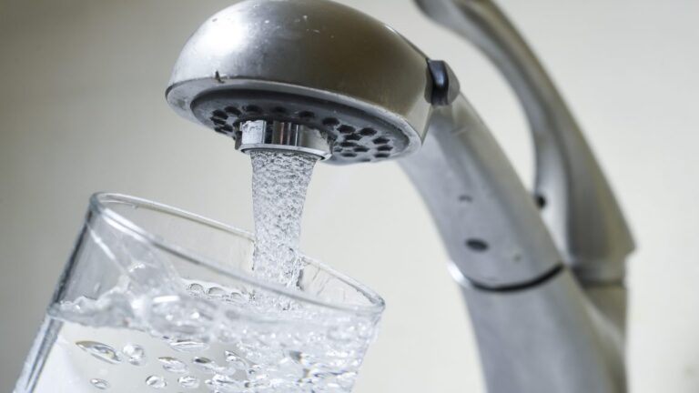 Controversial fluoride analysis published after years of failed reviews