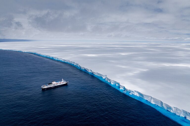 The World’s Biggest Iceberg Is Threatening a Wildlife Haven