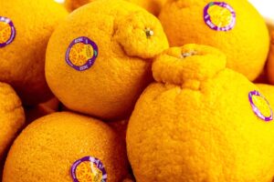 What Is Sumo Citrus?