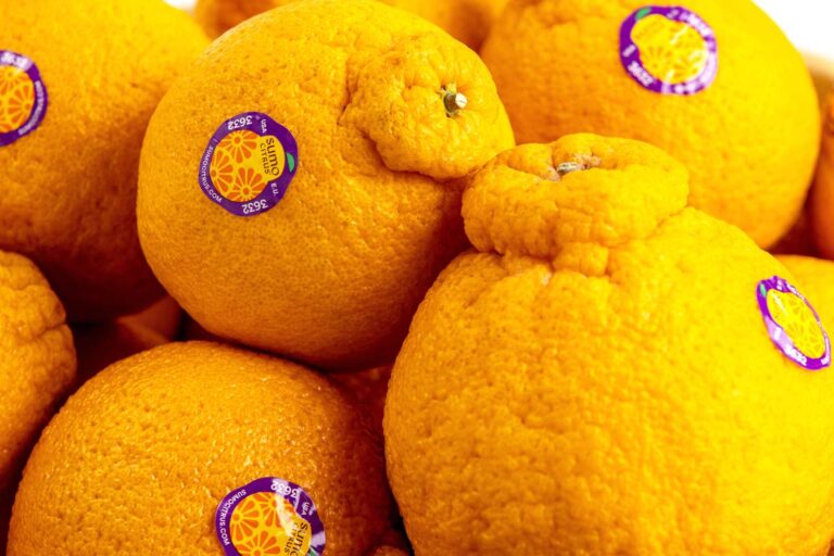 What Is Sumo Citrus?