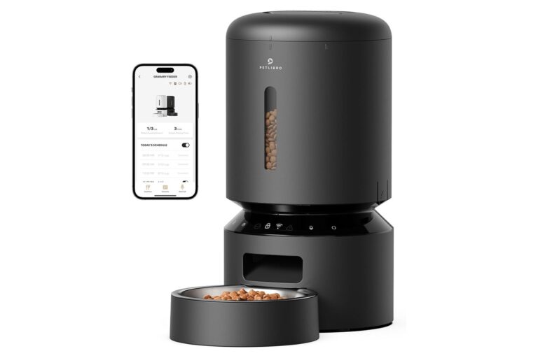 This Automatic Cat Feeder Is Back at Its Lowest Price Ever for a Limited Time, Treat Your Cat to the Best