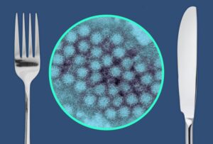 These Are the Most Viral Foodborne Illnesses, According to the World Health Organization