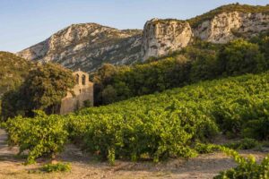 What Is Garrigue And How Does It Affect Your Wine?