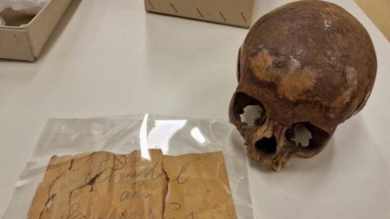 Nope, this skull is not Cleopatra’s half-sister