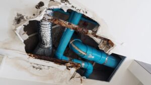 If You Want to Avoid Frozen Pipes This Winter, Follow These 6 Tips