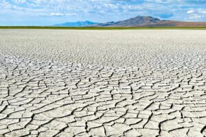 The Great Salt Lake Is Dying, But These Scientists Have a Solution