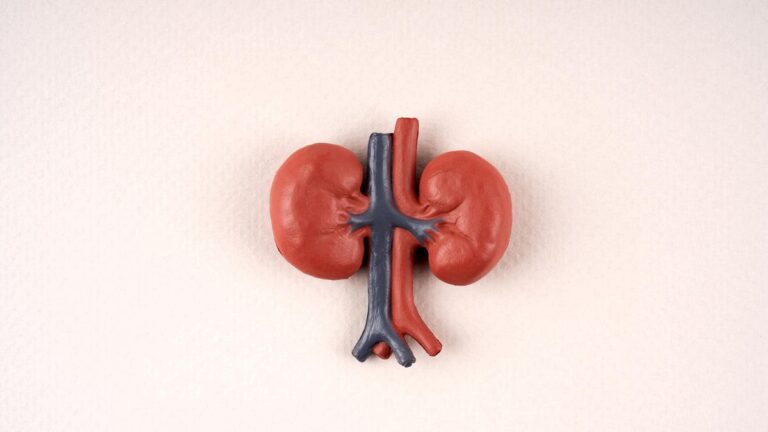 13 Foods That Will Give Your Kidney Health a Boost