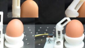 This mantis shrimp-inspired robotic arm can crack an egg