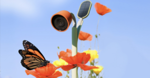 Bird Buddy’s new camera tracks plants and insects in your garden