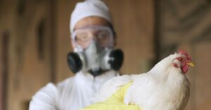 The First US Bird Flu Death Is a Stark Warning