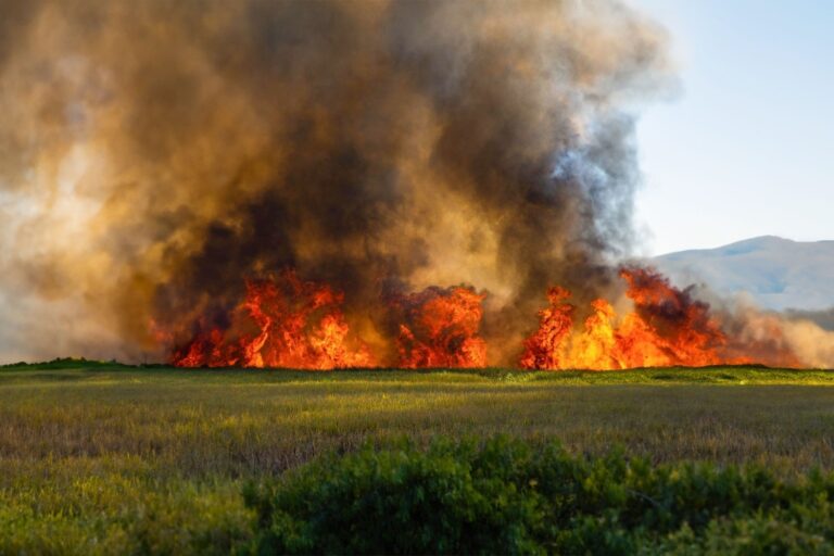 What You Should Know About Wildfire Smoke in Homes