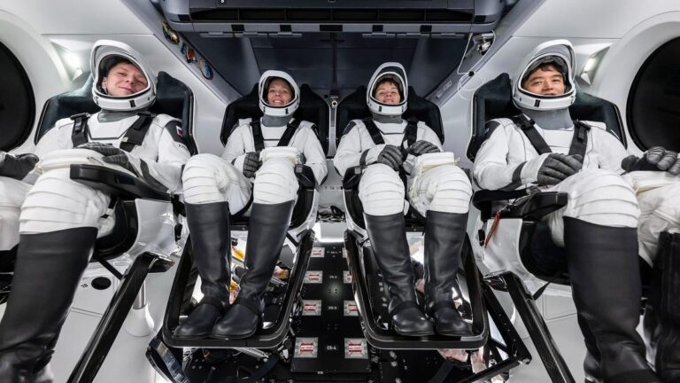 NASA Scrubs Launch of New Space Station Crew: What to Know