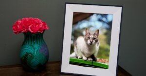 Hands-on with the Aspen is Aura’s latest digital photo frame 