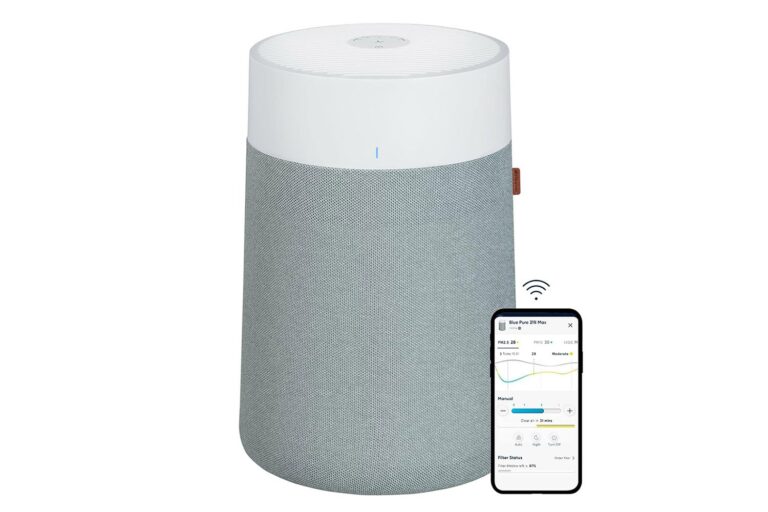 Spring Pollen Sucks, but This Cheaper Than Ever Blueair Purifier Deal on Amazon Doesn’t