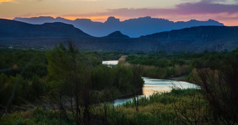 One Man’s Quest to Reforest the Rio Grande Valley