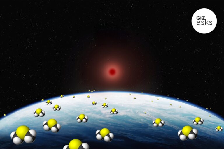 Did Scientists Detect Life on Another Planet? Experts Weigh in on Bombshell Biosignature Report