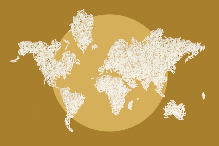 Climate Change Could Make Rice More Toxic, Study Warns
