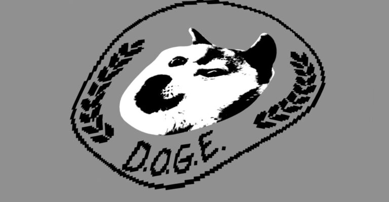 Democrats demand probe into DOGE’s alleged mishandling of personal data
