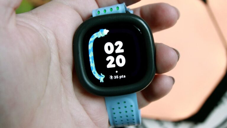 Fitbit is dying a slow death