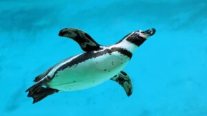 The 5 Linux AppImages I depend on daily – and how to add them to your desktop menu