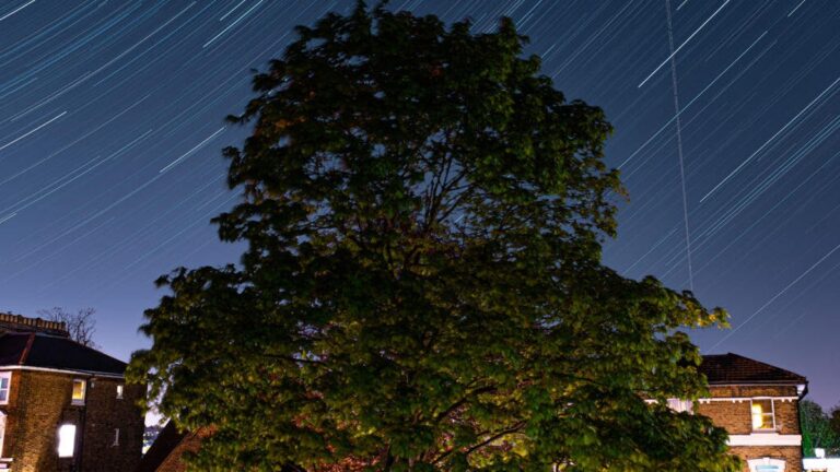 Lyrids Meteor Shower Peaking Tuesday: Get Outside and Watch the Fireballs