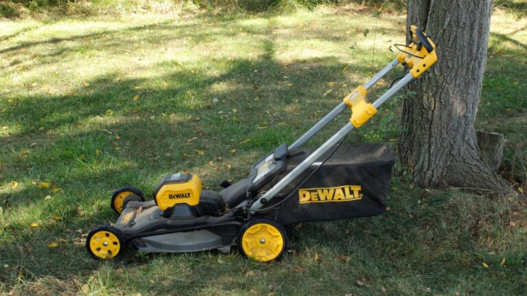 The best lawn mowers of 2025: Expert picks